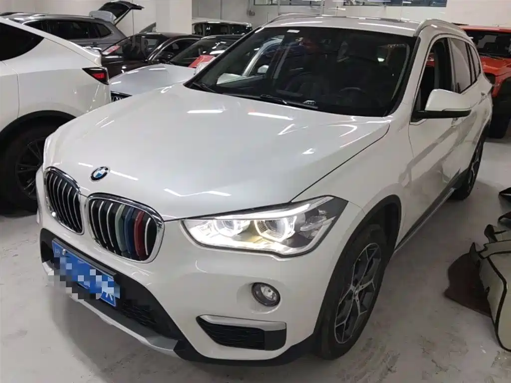 BMW X1 2019 xDrive20Li Premium Model фото 2