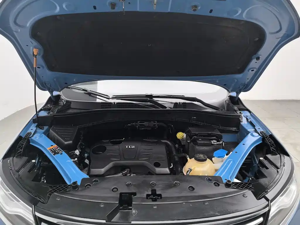 Фото 6 - Roewe RX5