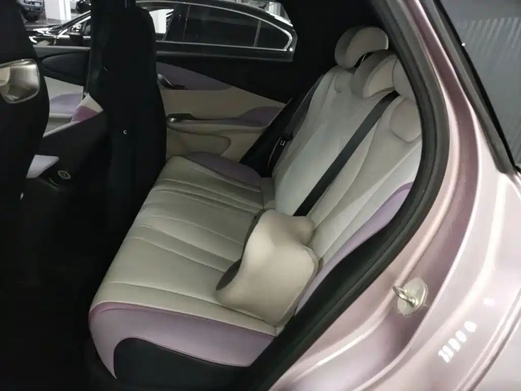 BYD Dolphin 2021 Model 405km Fashion Edition фото 13