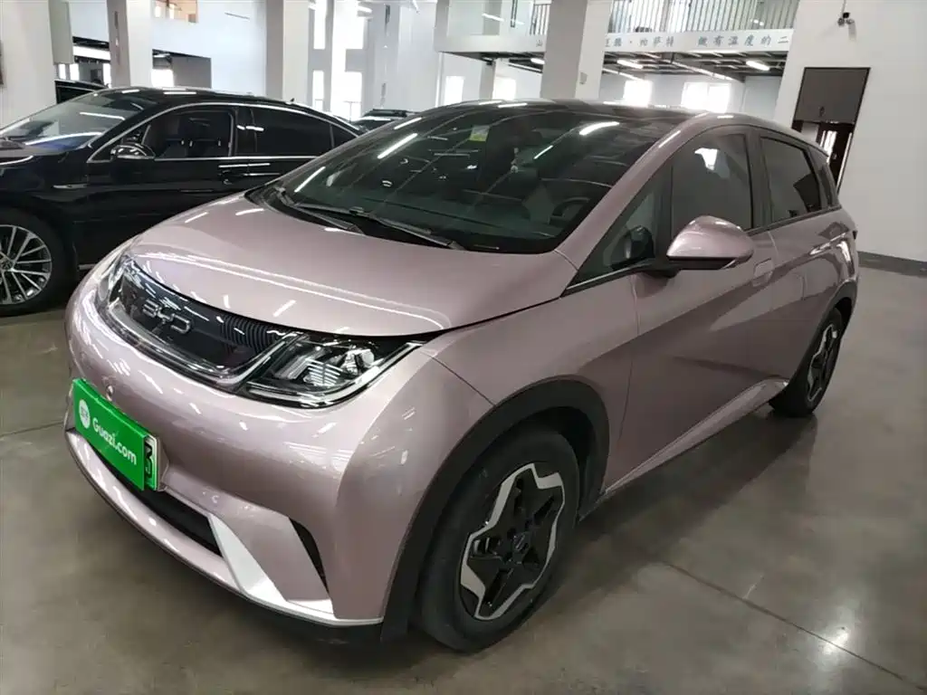 BYD Dolphin 2021 Model 405km Fashion Edition фото 2