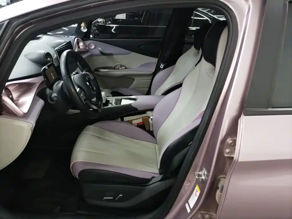 BYD Dolphin 2021 Model 405km Fashion Edition фото 11