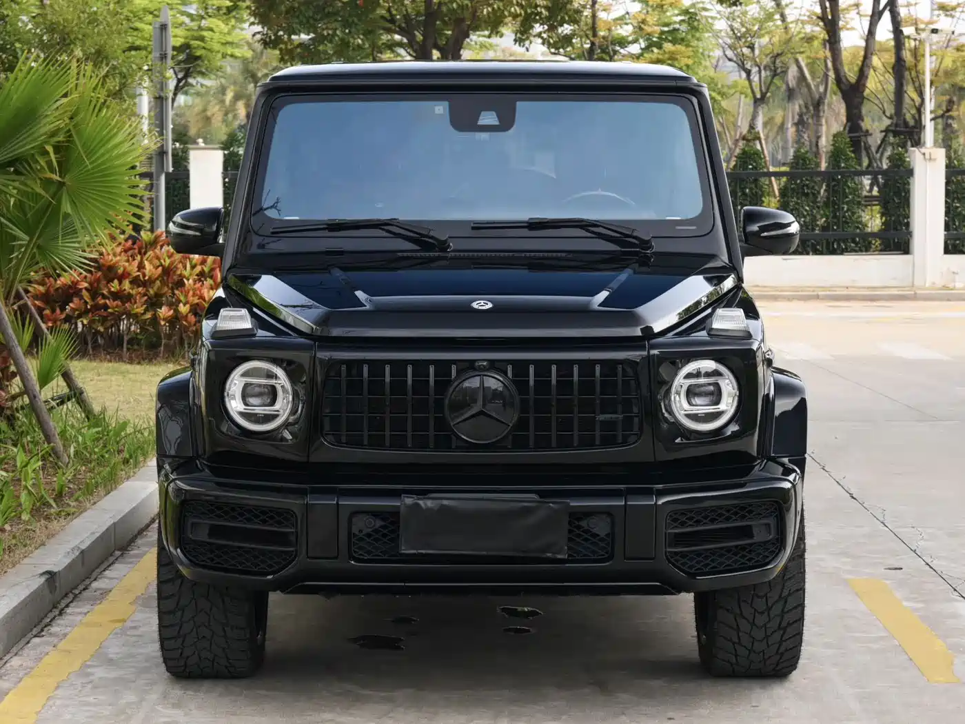 Mercedes-Benz G-Class 2019 G 500 фото 2