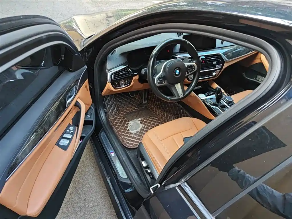 BMW 5 Series 2019 530Li Leading M Sport Package фото 14
