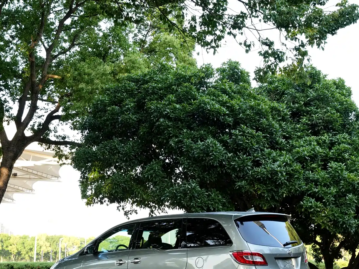 Buick GL8 2011 3.0L XT Luxury Business Flagship фото 4