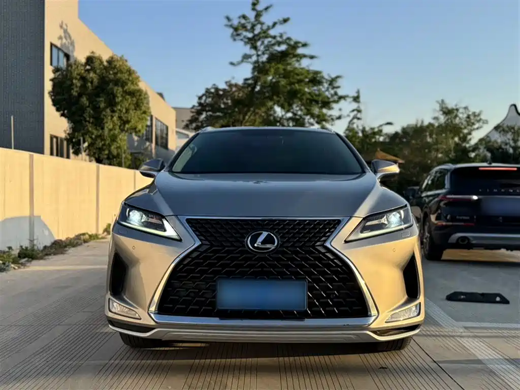 Lexus RX 2020 Facelift 300 2WD Elite Edition фото 6