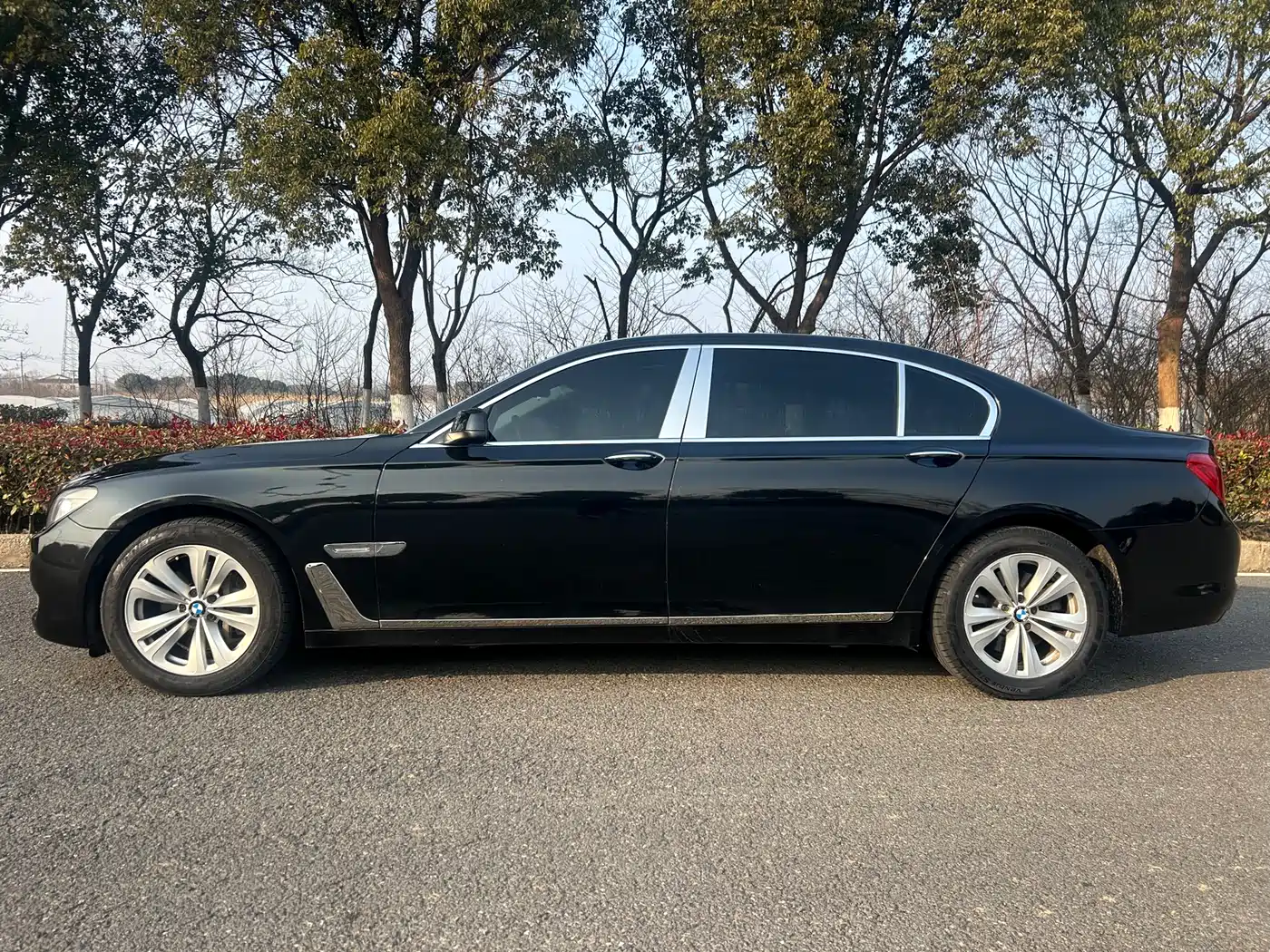 BMW 7 Series 2011 730Li Elegance фото 3