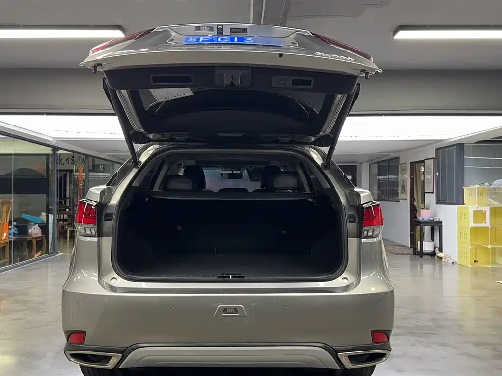 Lexus RX 2020 Facelift 300 2WD Elite Edition фото 14