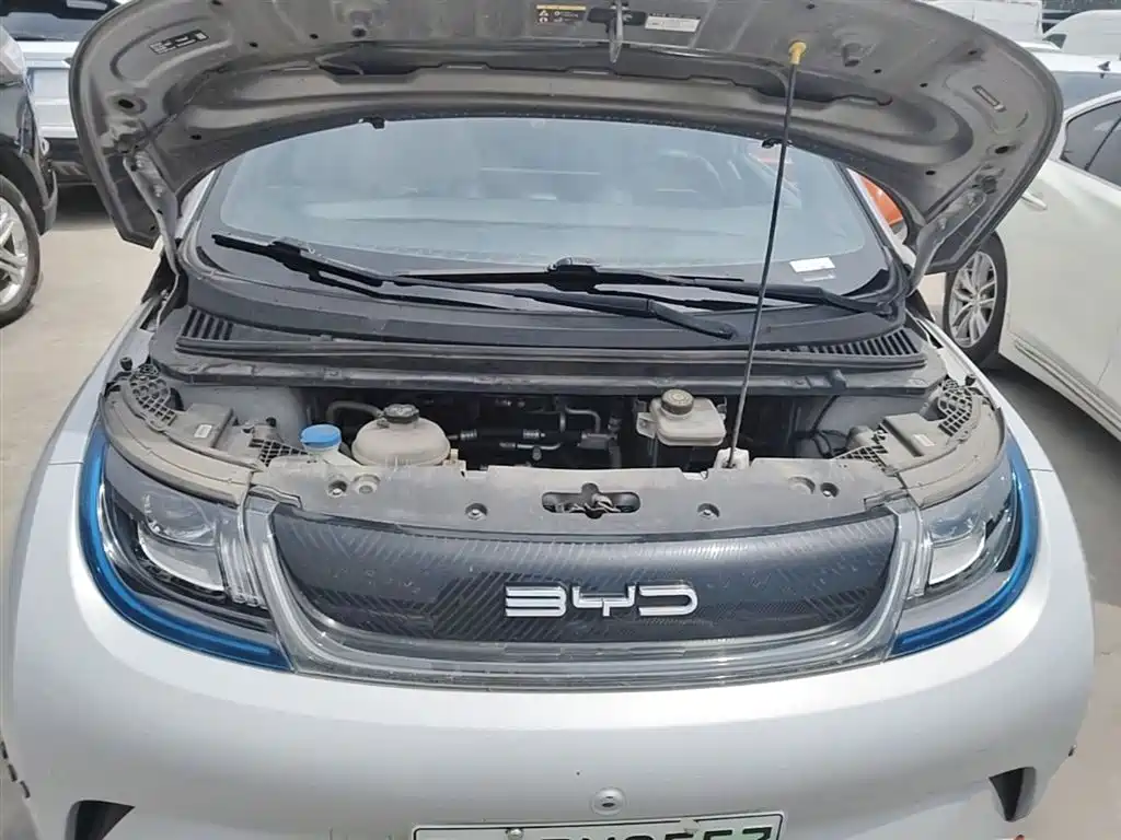 BYD Dolphin 2021 Model 405km Fashion Edition фото 20
