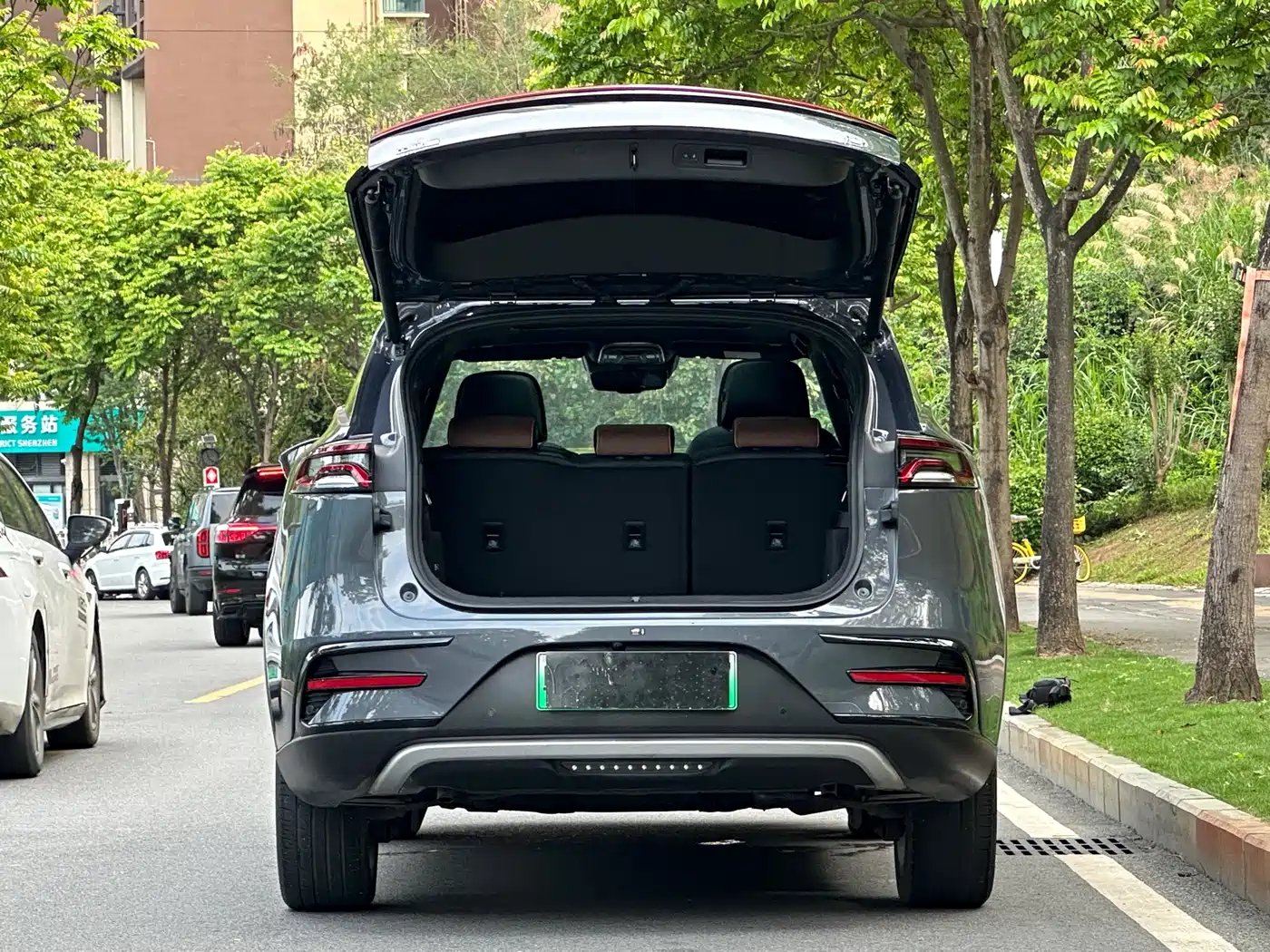 BYD Tang New Energy 2021 DM-i 112KM Honor фото 16