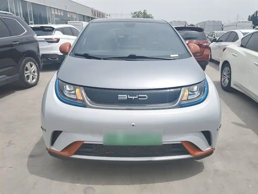BYD Dolphin 2021 Model 405km Fashion Edition фото 3