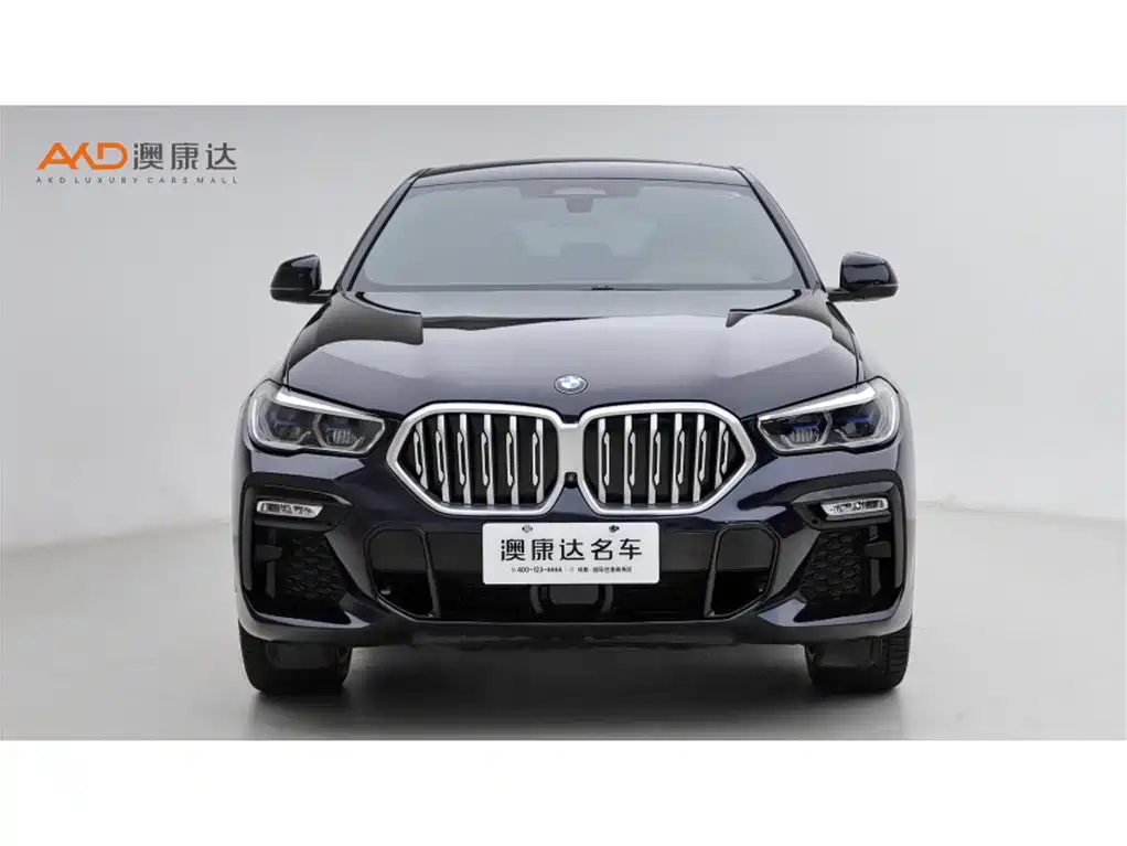 BMW X6 2021 xDrive40i Exclusive M Sport Package фото 2