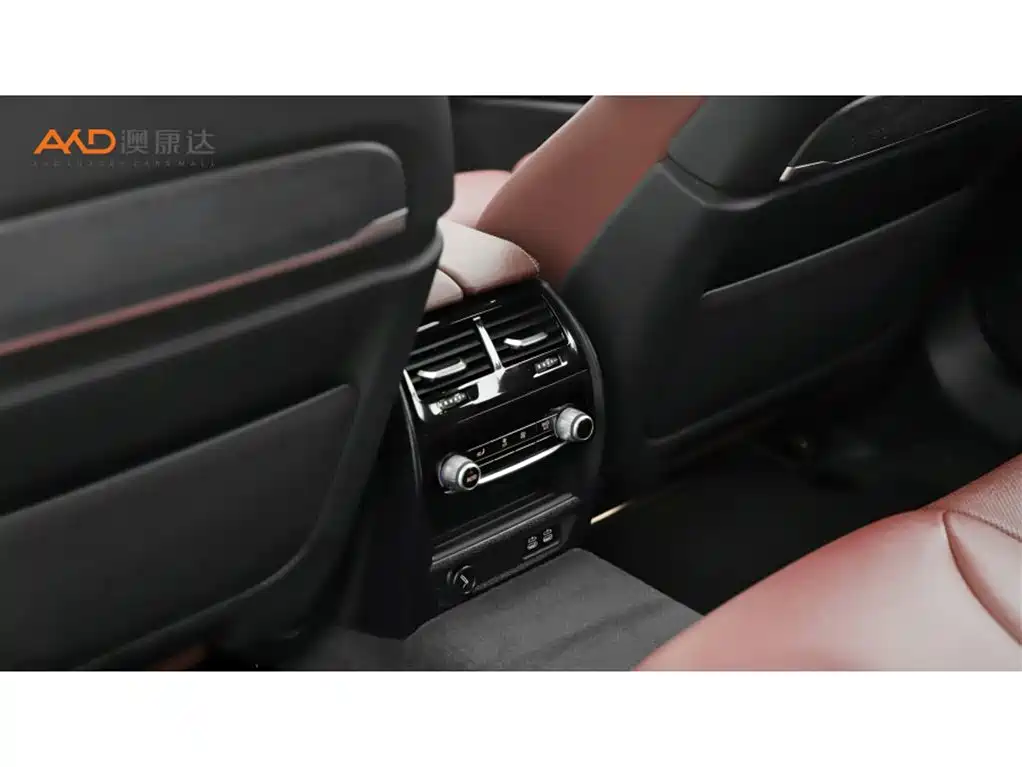 BMW 5 Series 2021 Facelift 530Li Premium M Sport Package фото 9