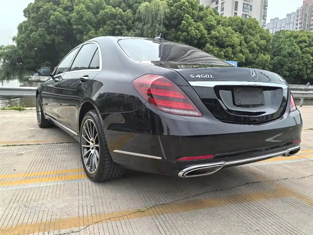 Mercedes-Benz S-Class 2018 S 320 L фото 10