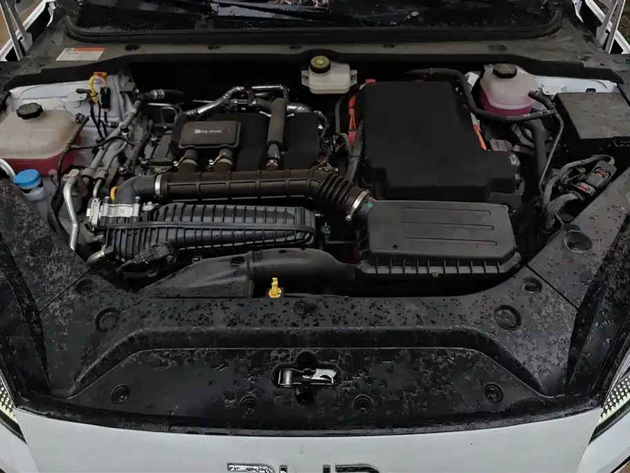 BYD Seal 06 New Energy 2025 DM-i Smart Drive 80KM Luxury фото 10