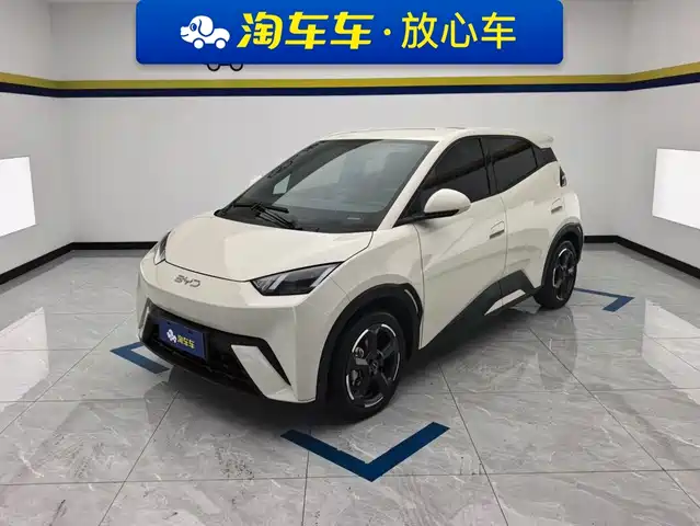 BYD Seagull 2024