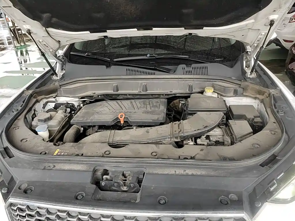 Haval F5 2019 2019 National Trend Edition 1.5T iTrend China VI