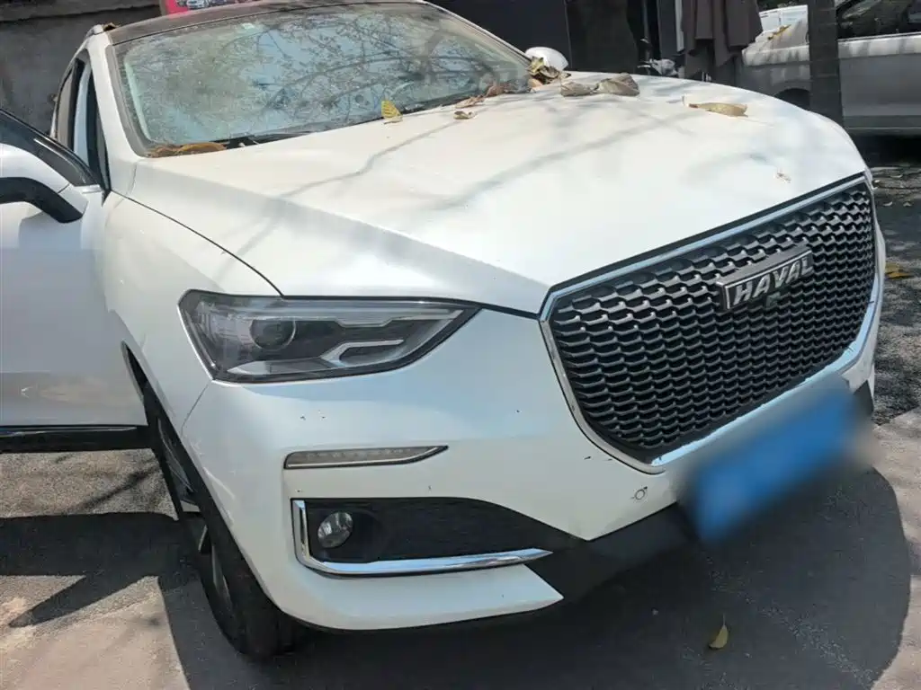 Haval F5 2018 1.5T i-Style фото 4