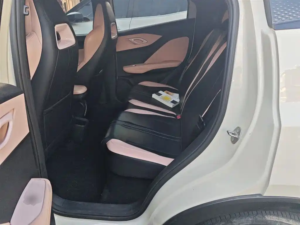 BYD Seagull 2023 Vitality Edition фото 15