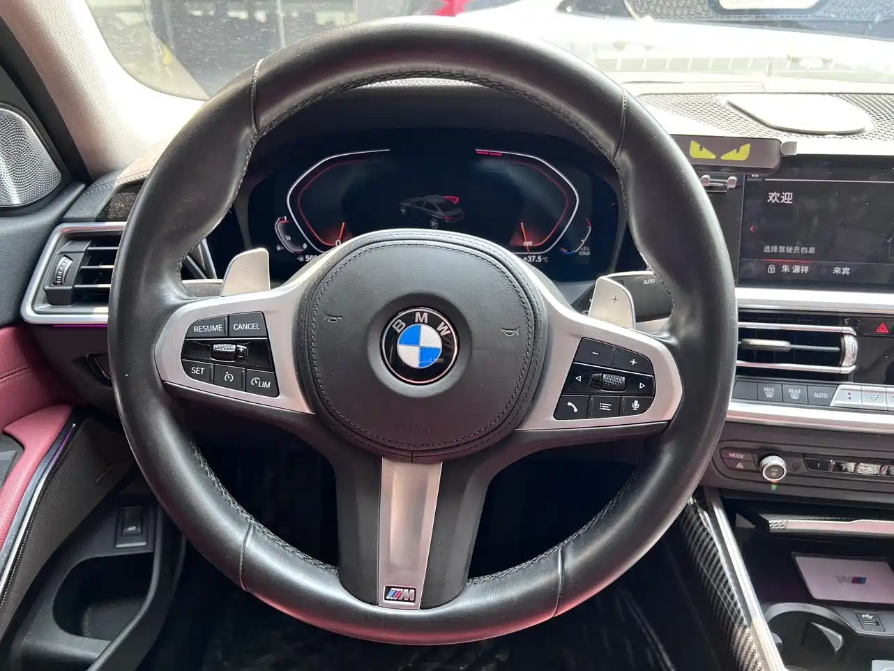 BMW 3 Series 2022 325Li M Sport Shadow Edition фото 8