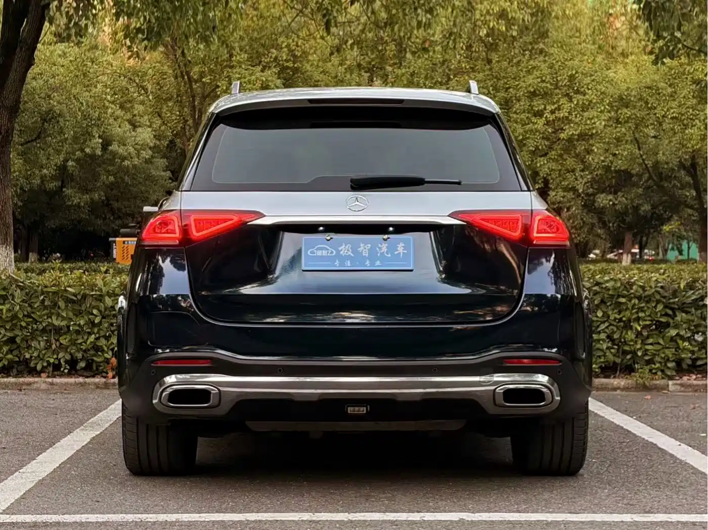 Mercedes-Benz GLE New Energy 2021 2021 GLE 350 e 4MATIC