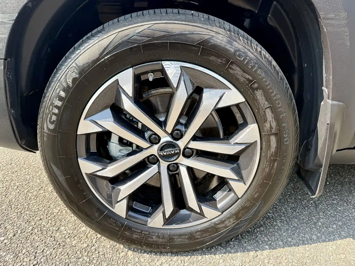 Haval Big Dog 2024 1.5T DCT Border Collie Edition фото 33