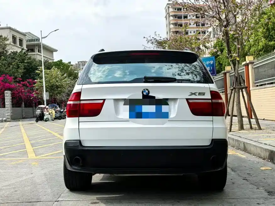 BMW X5 (Import) 2009 xDrive30i Luxury фото 9