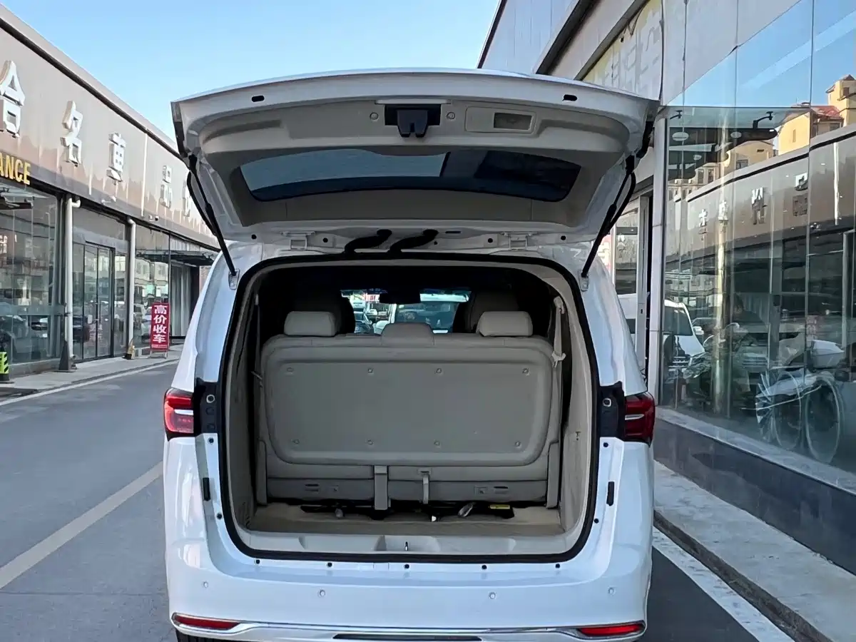 Buick GL8 2021 Land Business Class 652T Luxury фото 6