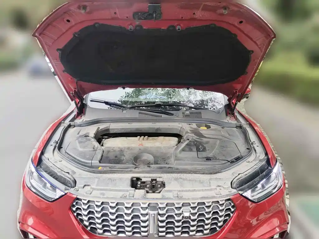 WEY VV5 2021 2021 1.5T 2WD Smart Pioneer