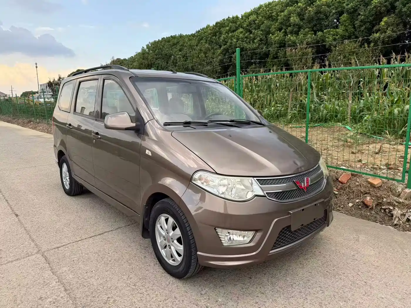 Фото 3 - Wuling Motors Wuling Hongguang