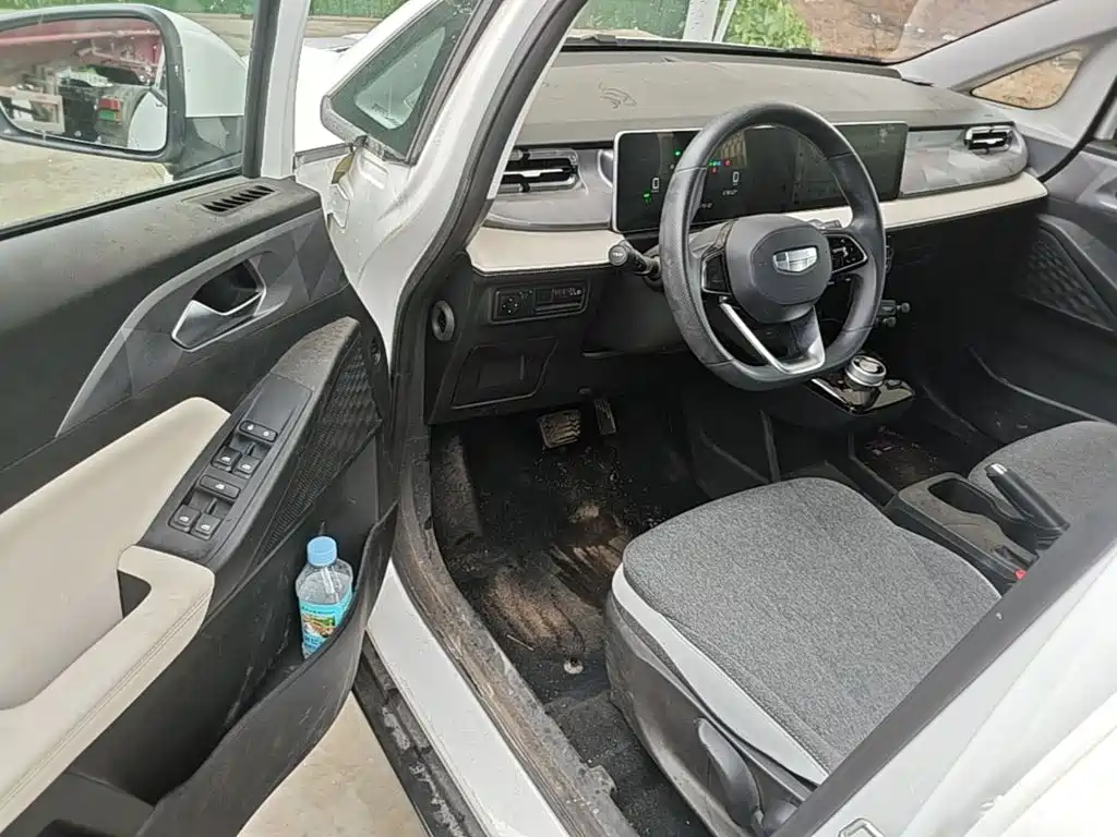 Geely Geometry E Firefly 2024 2024 Model 301km Light Flow