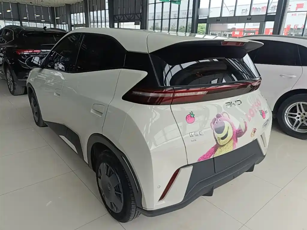 BYD Seagull 2025 305km Vitality фото 23