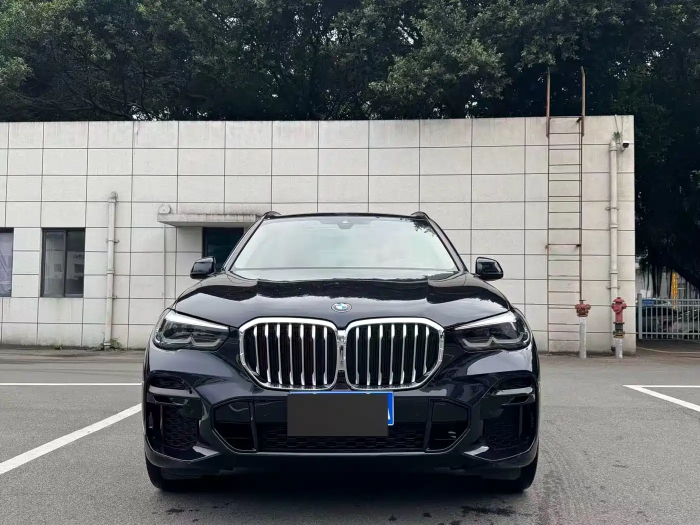 BMW X5 (Import) 2021 xDrive30i M Sport Package фото 2