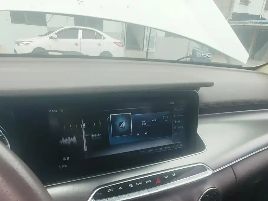 Leopaard Mattu 2020 2018 1.6T GDI DCT Luxury