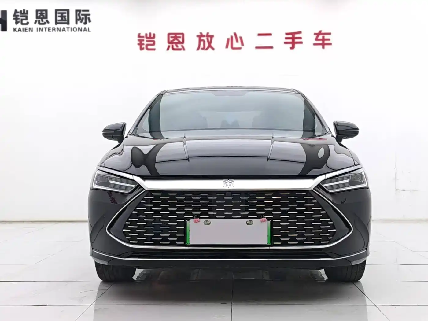 BYD Qin PLUS 2024 Glory Edition DM-i 55KM Leading фото 2