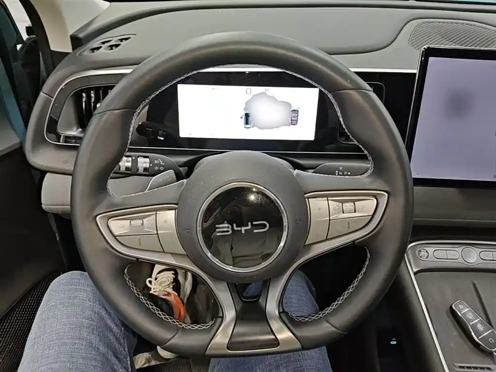 BYD Hai Shi 05 EV 2025 520KM Smart Navigation Edition фото 11