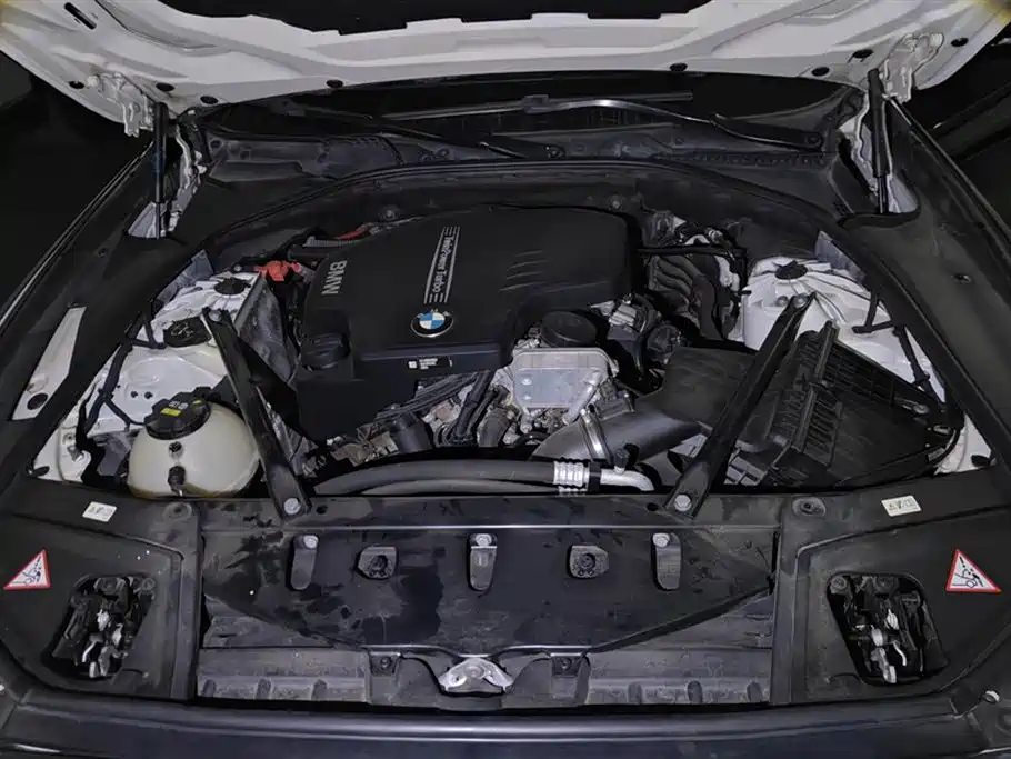 BMW 5 Series 2014 525Li Luxury Design Package фото 10