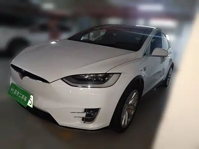 Tesla Model X 2020