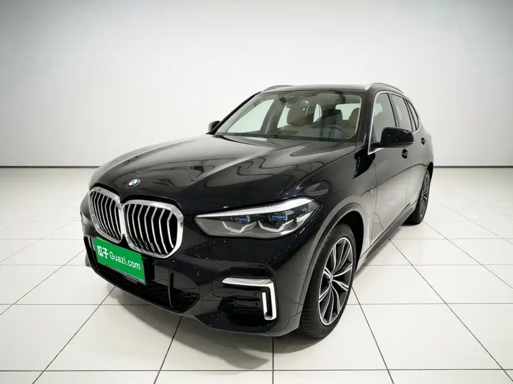 BMW X5 2022 2022 xDrive 30Li M Sport Package