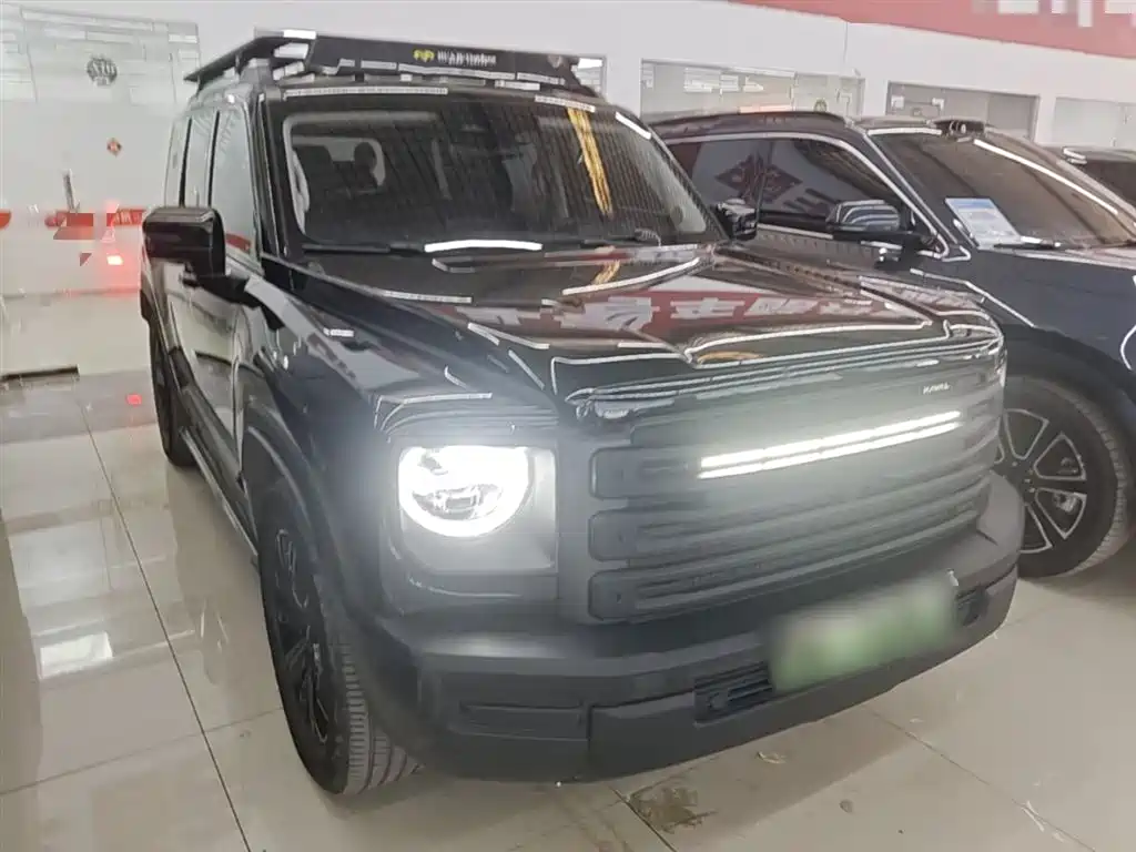Haval Meng Long NEV 2024 Hi4 145 Cross-country Edition фото 22