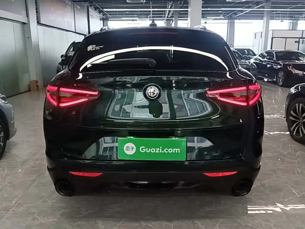 Alfa Romeo Stelvio 2021 2020 2.0T 280HP Luxury Edition