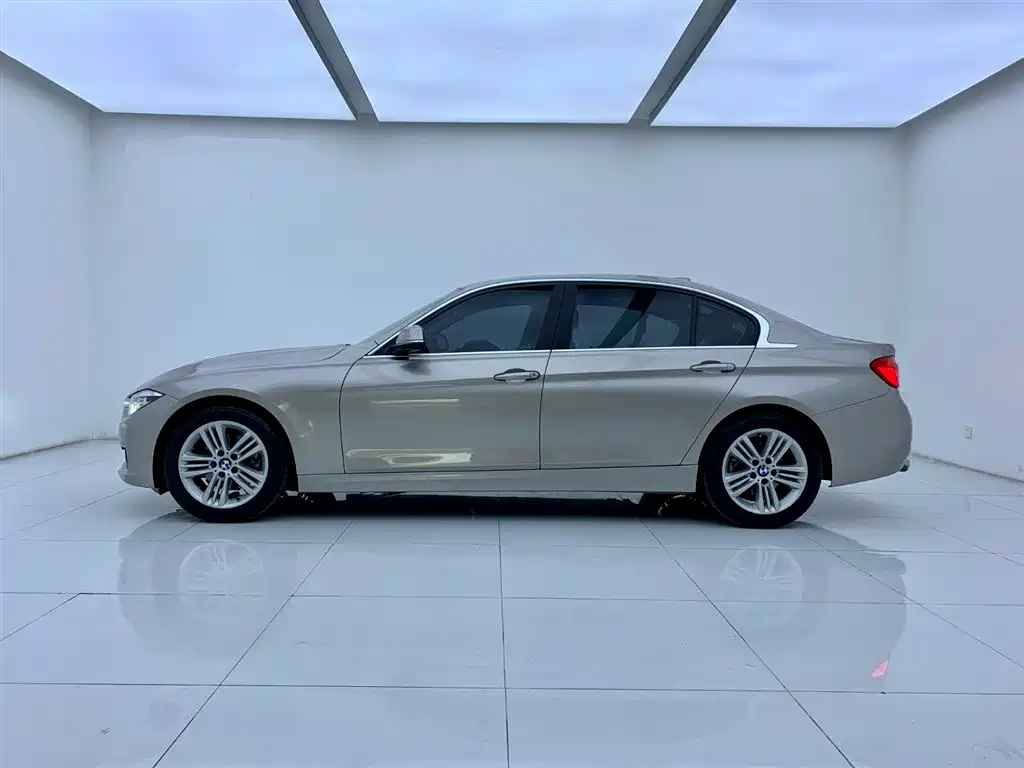 BMW 3 Series 2018 318Li фото 3