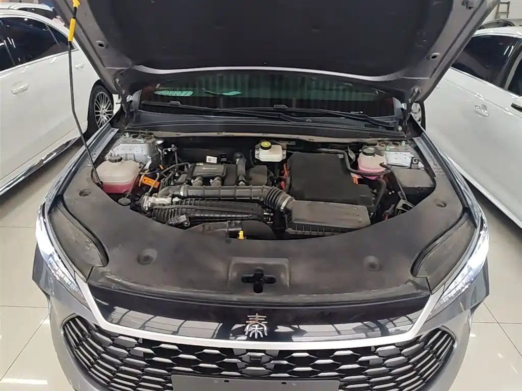 BYD Qin PLUS 2025 DM-i Smart Drive 55KM Leader фото 20