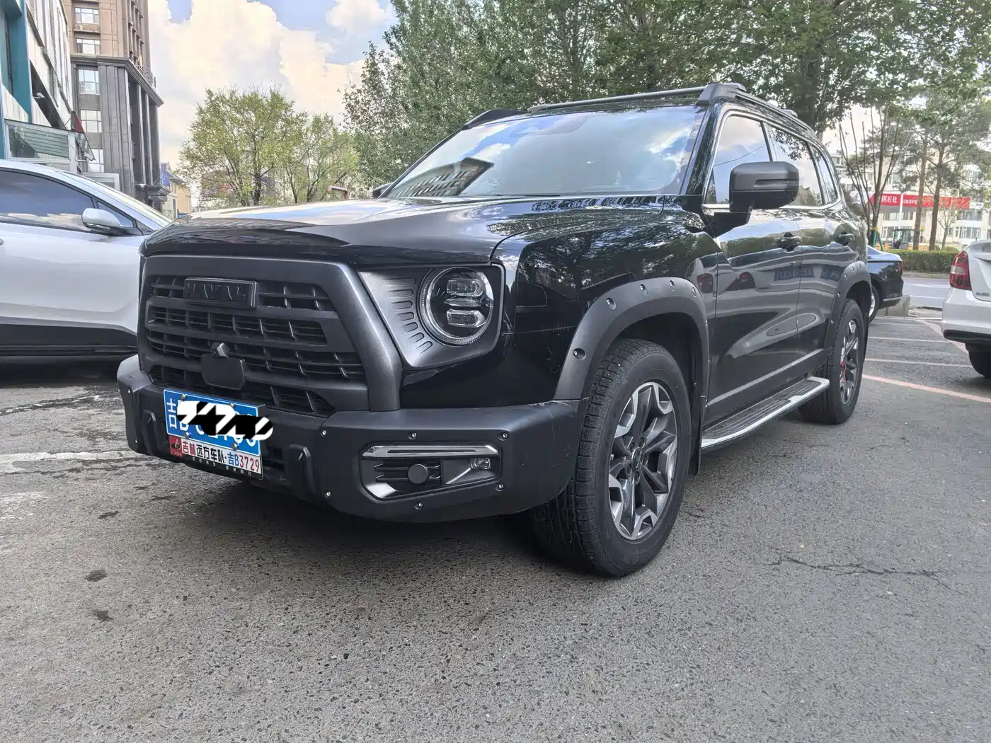 Haval Big Dog 2024 2.0T DCT Chinese Rural Dog Edition