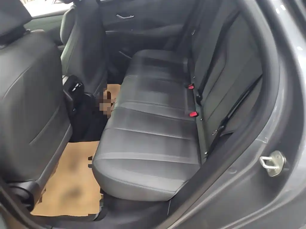 BYD Qin PLUS 2025 DM-i Smart Drive 55KM Leader фото 17