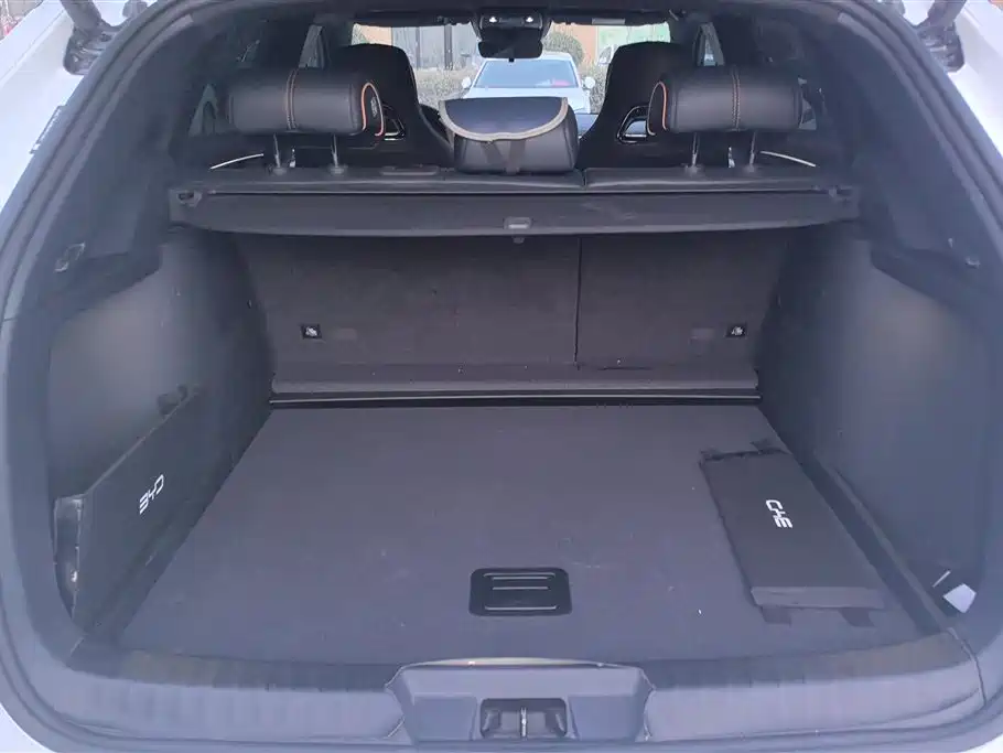 BYD SONGJIANG NEW ENERGY