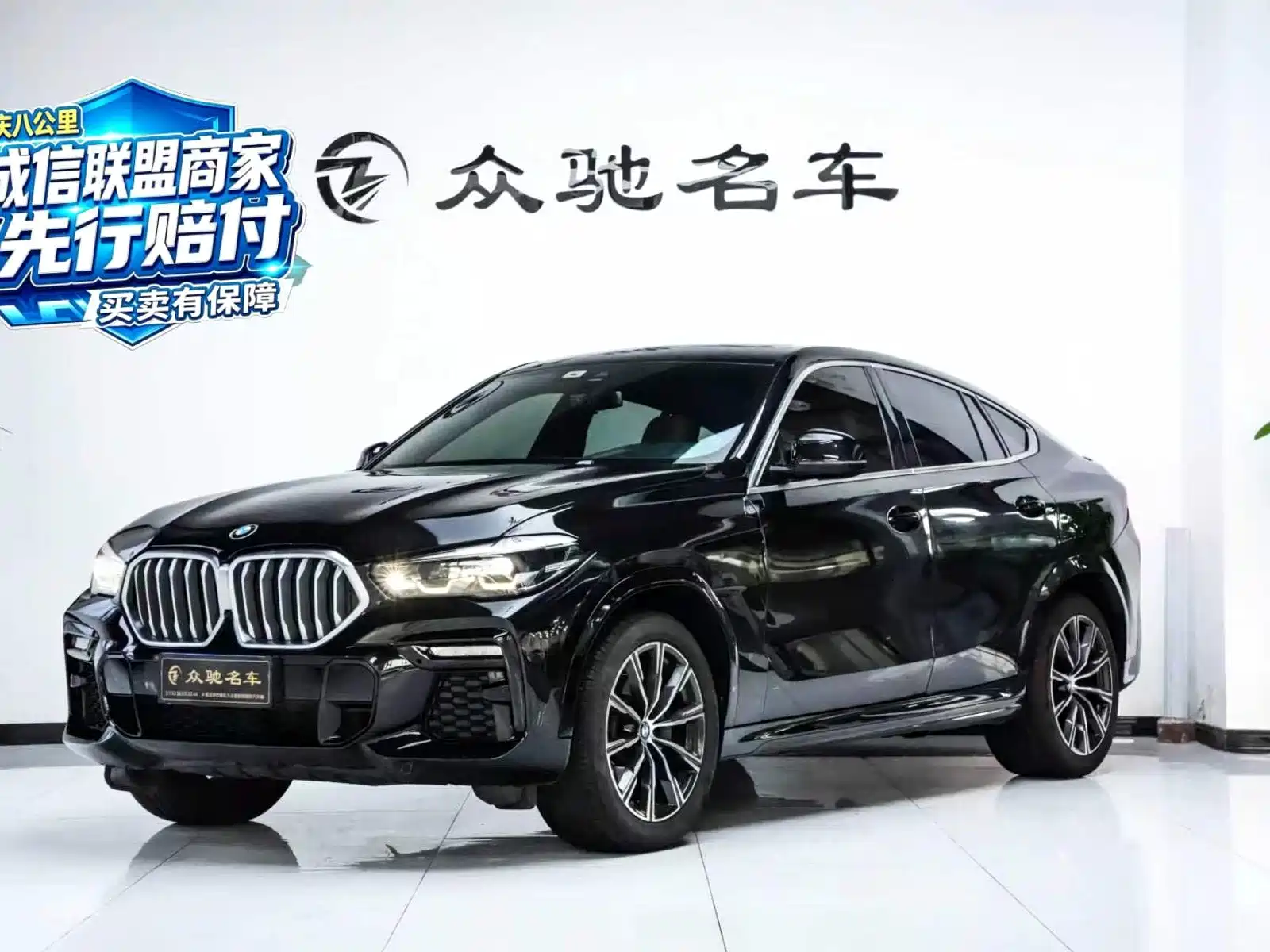 Photo 1 - BMW X6