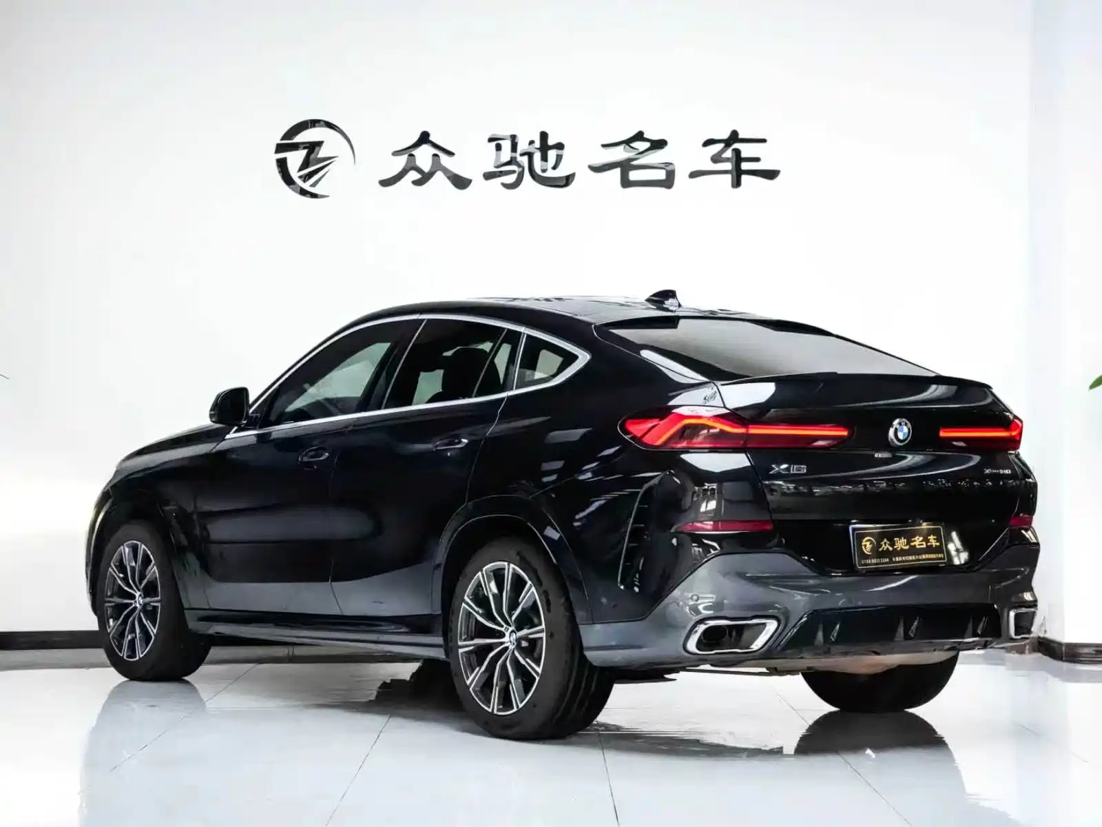 Photo 12 - BMW X6