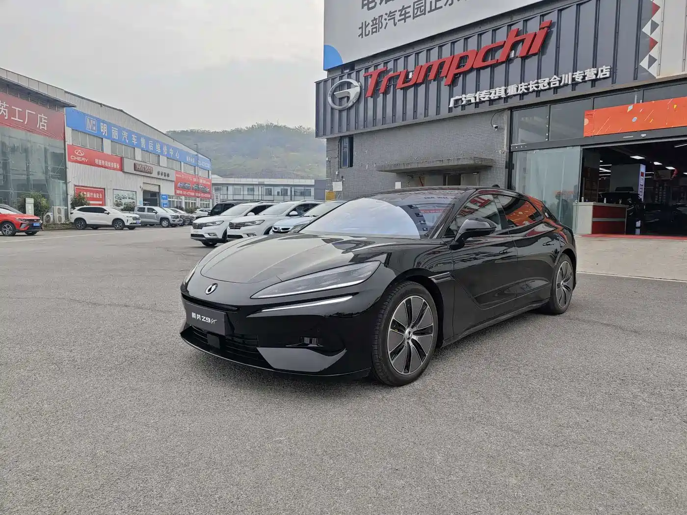 Фото 1 - Denza Z9GT