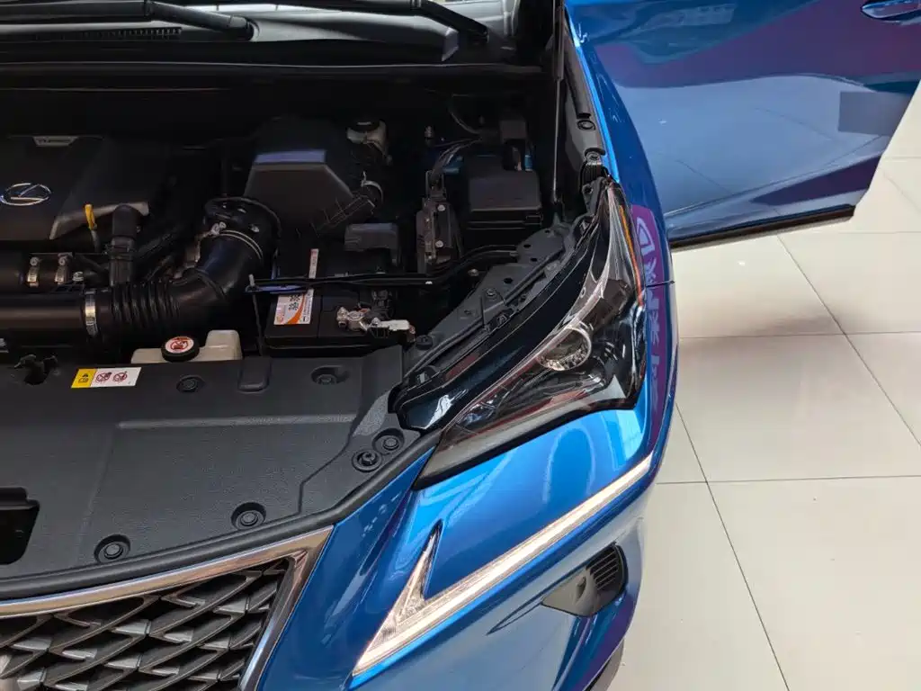 Lexus NX 2018 Model 300 AWD Fengshang Edition фото 22