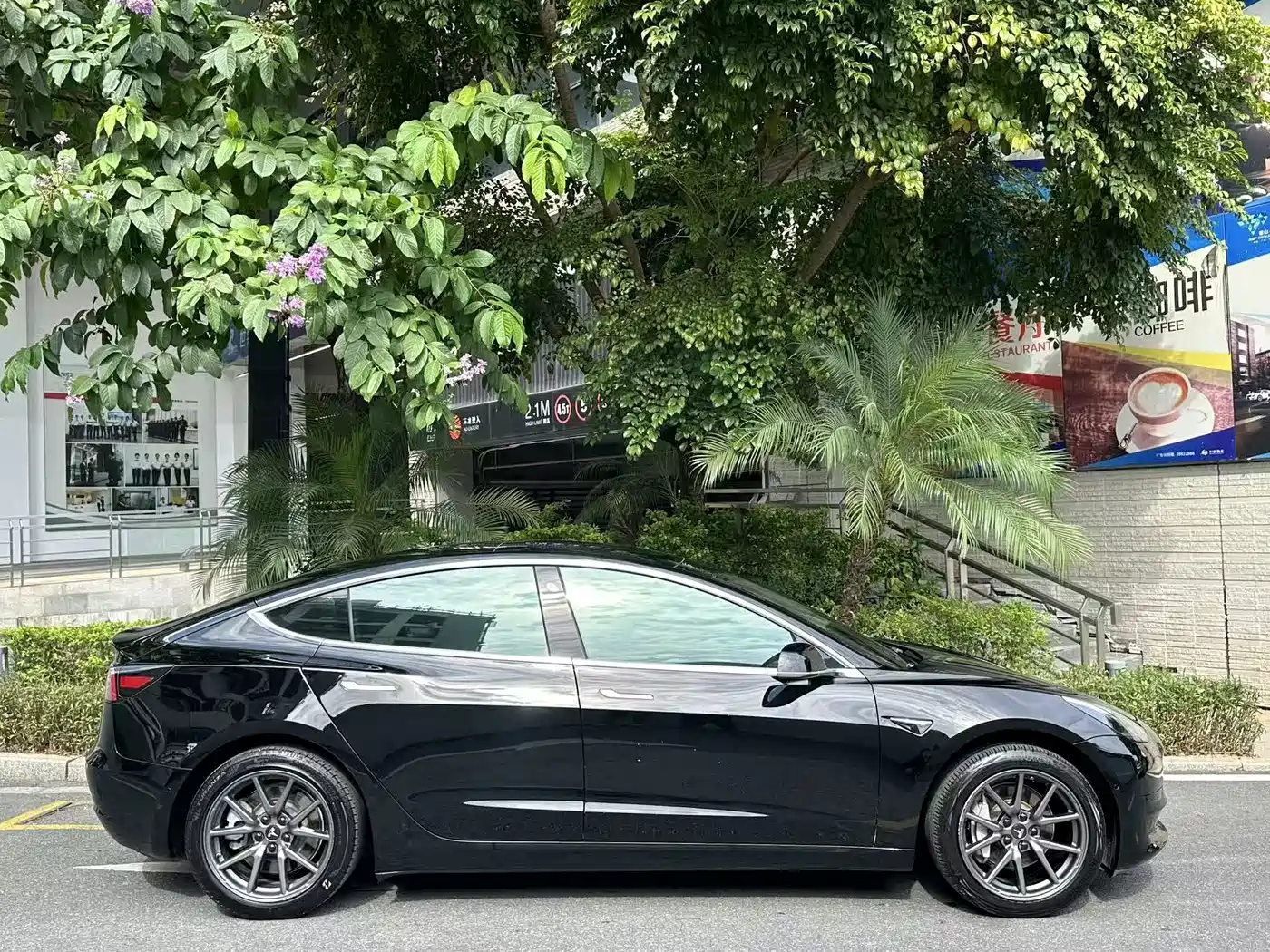 Tesla Model 3 2020 2020 Standard Range Rear-Wheel Drive Upgrade